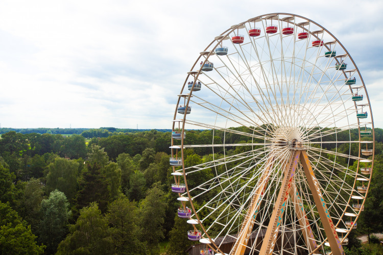 BigWheel_overview